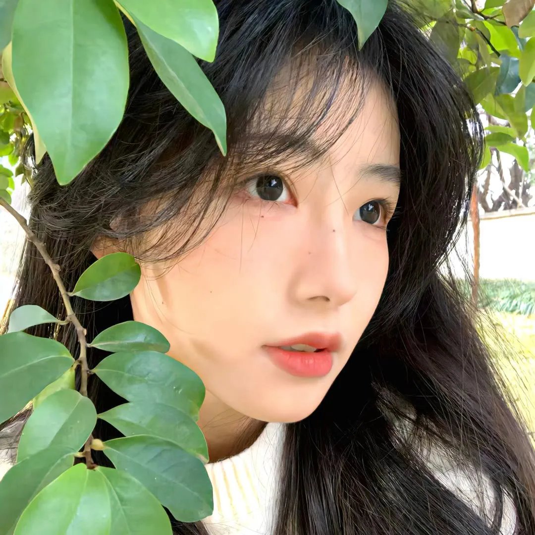 她不知道名字的那些鸟儿